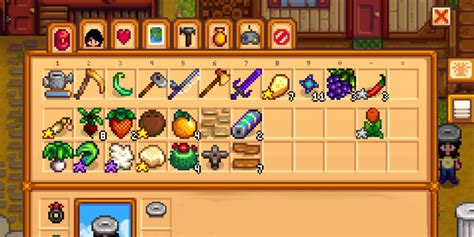 editing inventory stardew valley.